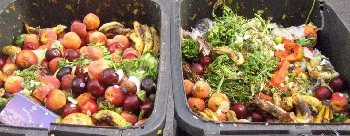 Evita el desperdicio de alimentos en el año de las frutas y hortalizas