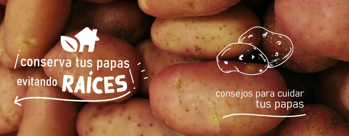 Conserva las papas