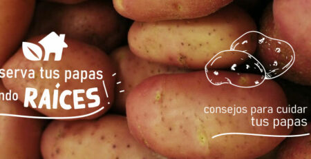 Conserva las papas